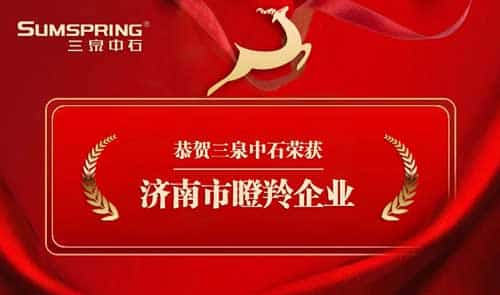 Sumspring三泉中石被認(rèn)定為“瞪羚企業(yè)”(圖1)